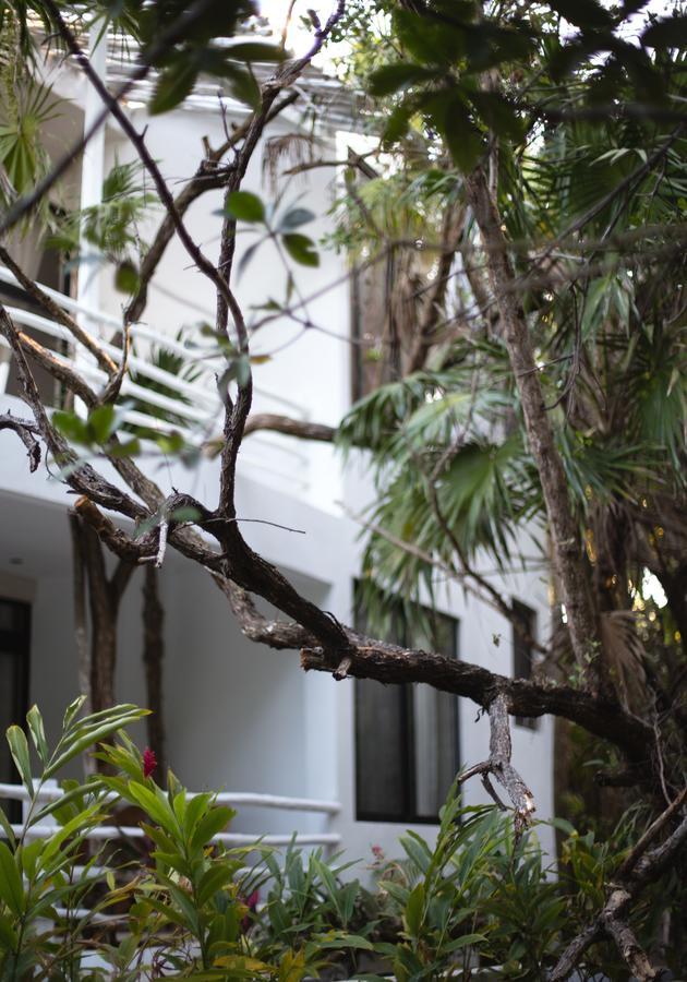 Casa Ambar Hotel & Boutique Tulum (Adults Only) Ngoại thất bức ảnh